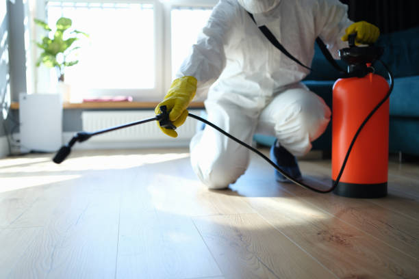 Reliable Odor Removal contractor in Suwanee, GA by Dulley Family Biohazard Services